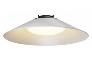 Подвесной светильник Maytoni Campana TR127B-12W3K-W