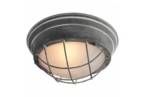 Накладной светильник Lussole Brentwood LSP-9881