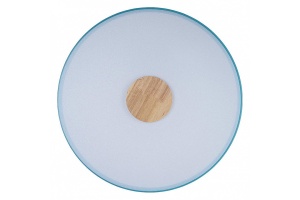 Накладной светильник Loft it Axel 2 10003/24 Blue - 3