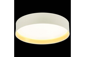 Накладной светильник EVOLUCE Brescia SLE300552-01 - 3