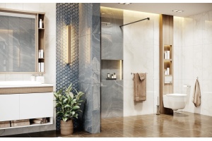 Душевая перегородка Ambassador Walk-in 15031111 110х200 см, профиль черный - 3