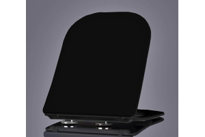 Сиденье для унитаза Esbano Gartez с системой микролифт, черный (ZAESUPGARTBM0801)