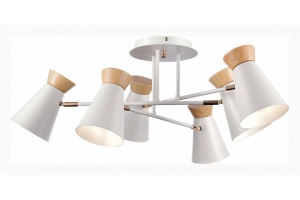 Потолочная люстра EVOLUCE Alfeo SLE1252-502-06 - 3