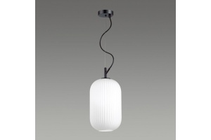 Подвесной светильник Odeon Light Pendant Roofi 4751/1 - 3