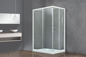 Душевой уголок Royal Bath HPD 100x90 профиль белый стекло прозрачное - 2