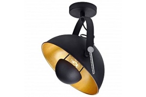 Спот Lussole Sherrelwood LSP-9825 - 2