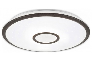 Потолочный светодиодный светильник Citilux Старлайт Смарт CL703A65G