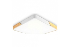 Накладной светильник Ambrella Light FZ FZ1313