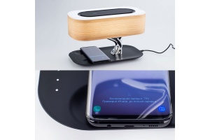 Настольная лампа Citilux Ньютон CL803042 - 3