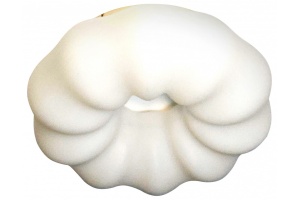 Накладной светильник Zortes SOFT ZRS.1118.2 - 2