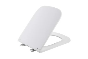 Сиденье для унитаза WeltWasser WW 5021 GL-WT с микролифтом белый (10000004648)