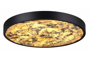 Накладной светильник Odeon Light Bergi 5064/40L - 2