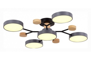 Потолочная люстра EVOLUCE Faema SLE6006-702-05 - 3