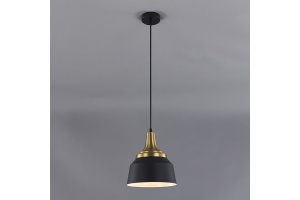 Подвесной светильник Escada Aries 1102/1S - 2