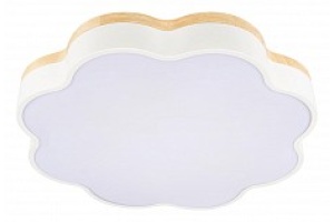 Накладной светильник Loft it Axel 10225/36 White - 2