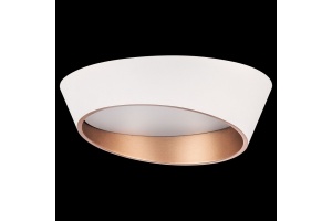 Накладной светильник Lightstar Celesta 809456 - 2