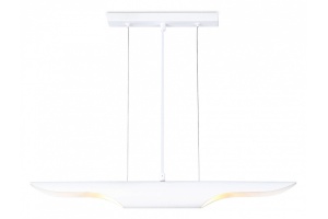 Подвесной светильник Ambrella Light TN TN5155 - 2