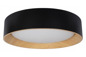 Накладной светильник Loft it Coin 10202 Black