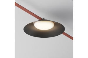 Подвесной светильник Maytoni Campana TR127B-12W3K-B - 2