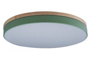 Накладной светильник Loft it Axel 10001/36 Green