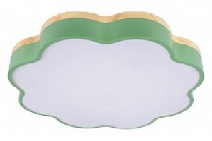 Накладной светильник Loft it Axel 10225/36 Green - 2