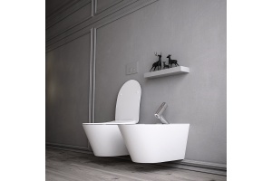 Чаша для подвесного унитаза Boheme Avva белая матовая без сиденья - 2