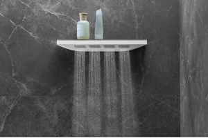 Верхний душ Hansgrohe Rainfinity 26243700 - 3