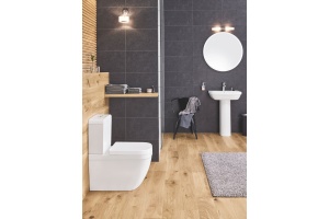 Чаша для унитаза-компакта Grohe Euro Ceramic 3933800H - 2