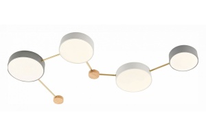 Накладной светильник EVOLUCE Dossena SLE600102-04 - 2