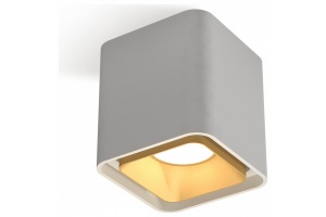 Накладной светильник Ambrella XS XS7840004