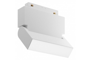 Накладной светильник Maytoni Basis Rot TR075-2-10W3K-W