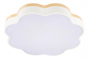 Накладной светильник Loft it Axel 10225/36 White