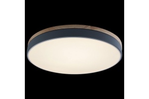 Накладной светильник Loft it Axel 10001/36 Grey - 2