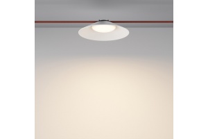 Подвесной светильник Maytoni Campana TR127B-12W3K-W - 2