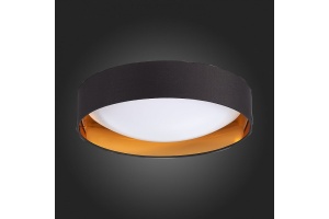 Накладной светильник EVOLUCE Orbio SLE201102-01 - 3