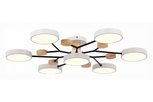 Потолочная люстра EVOLUCE Faema SLE6006-502-07 - 3