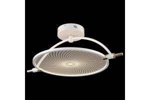 Светильник на штанге Wertmark Laura WE430.02.007