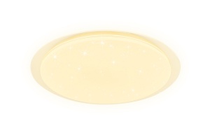 Накладной светильник Ambrella FF FF480 - 2