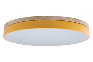 Накладной светильник Loft it Axel 10001/36 Yellow