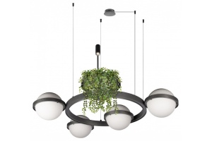 Подвесная люстра Loft it Jardin 10121/4 Dark grey