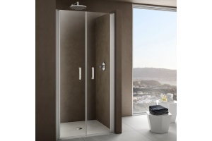 Душевая дверь в нишу Provex Look 0005 LP 05 GL 100 см