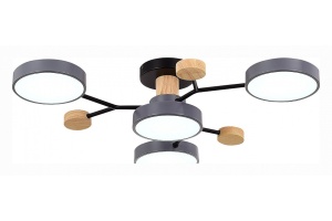 Потолочная люстра EVOLUCE Faema SLE6006-702-04 - 3