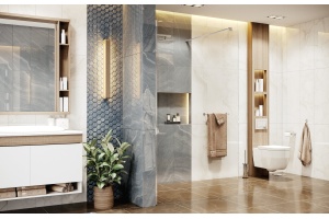 Душевая перегородка Ambassador Walk-in 15031104 120х200 см, профиль хром - 3