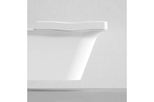 Унитаз подвесной Bien Lotus LTKA054GMVP1W3000 с биде - 2