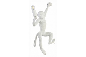 Накладной светильник EVOLUCE Tenato SLE115111-01