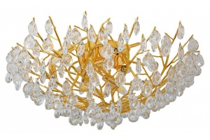 Потолочная люстра Favourite Pluvia 4162-10C