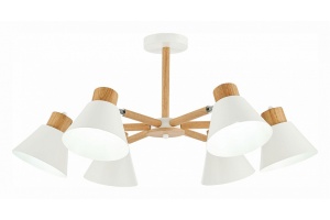 Люстра на штанге EVOLUCE Buve SLE103702-06