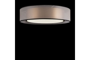 Потолочный светодиодный светильник Freya Zoticus FR6005CL-L36G - 2