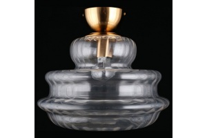 Накладной светильник Aployt Liana APL.303.07.01 - 3