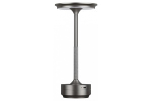 Настольная лампа декоративная Odeon Light Tet-A-Tet 5035/6TL